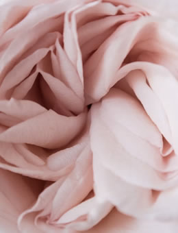promo-banner-image